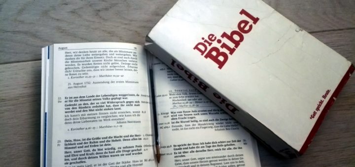 Die Bibel mit den Losungen lesen