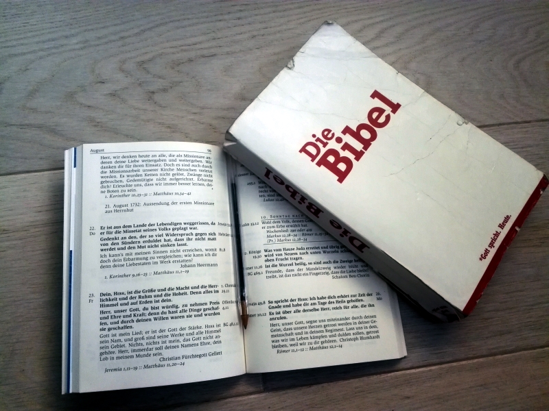 Bibel mit den Losungen lesen